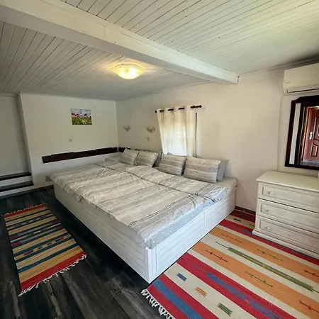 сънтовец - на брега на язовир цонево